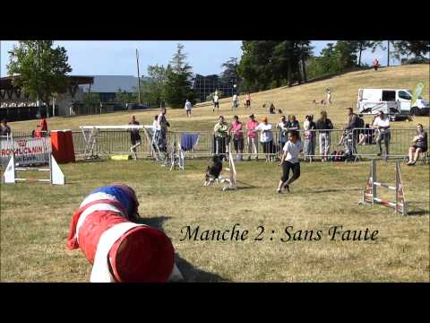 Championnat de France d'agility 2014 "Demon Black"