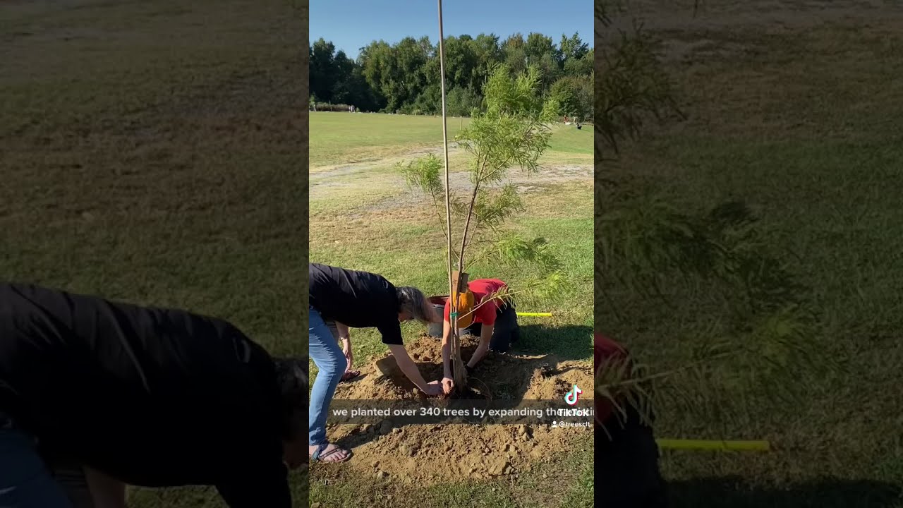 Day in the life of tree planters