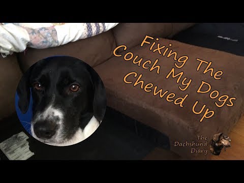 YouTube video about: How to fix hole in couch from dog?