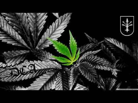 RastaMarián - Zapál to