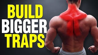 Top 5 Exercises for BIGGER TRAPS! (UPPER/MID/LOWER)