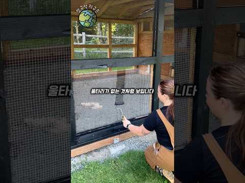 닭장 울타리에 사용하는 페인트