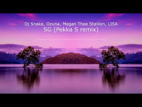 Dj Snake, Ozuna, Megan Thee Stallion, LISA - SG (Pekka S remix)
