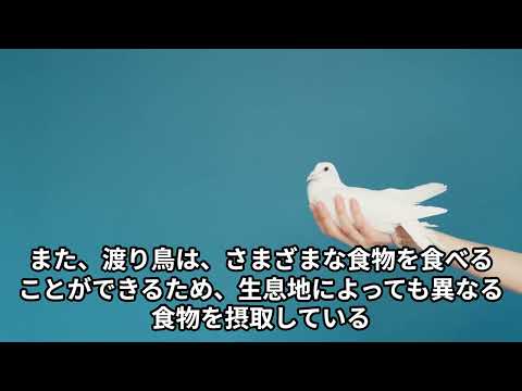 リスレット鳥類保護区 - 定義