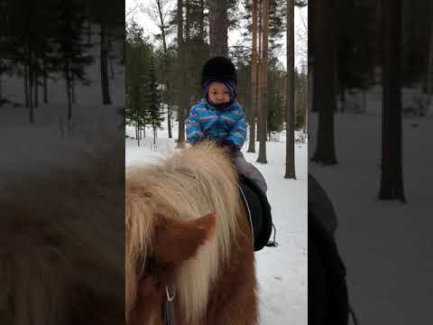 , title : 'Aleksi ratsastaa hevosella'