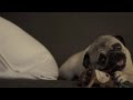 Frederic Chopin - Prelude in E minor Op.28 no.4 ...