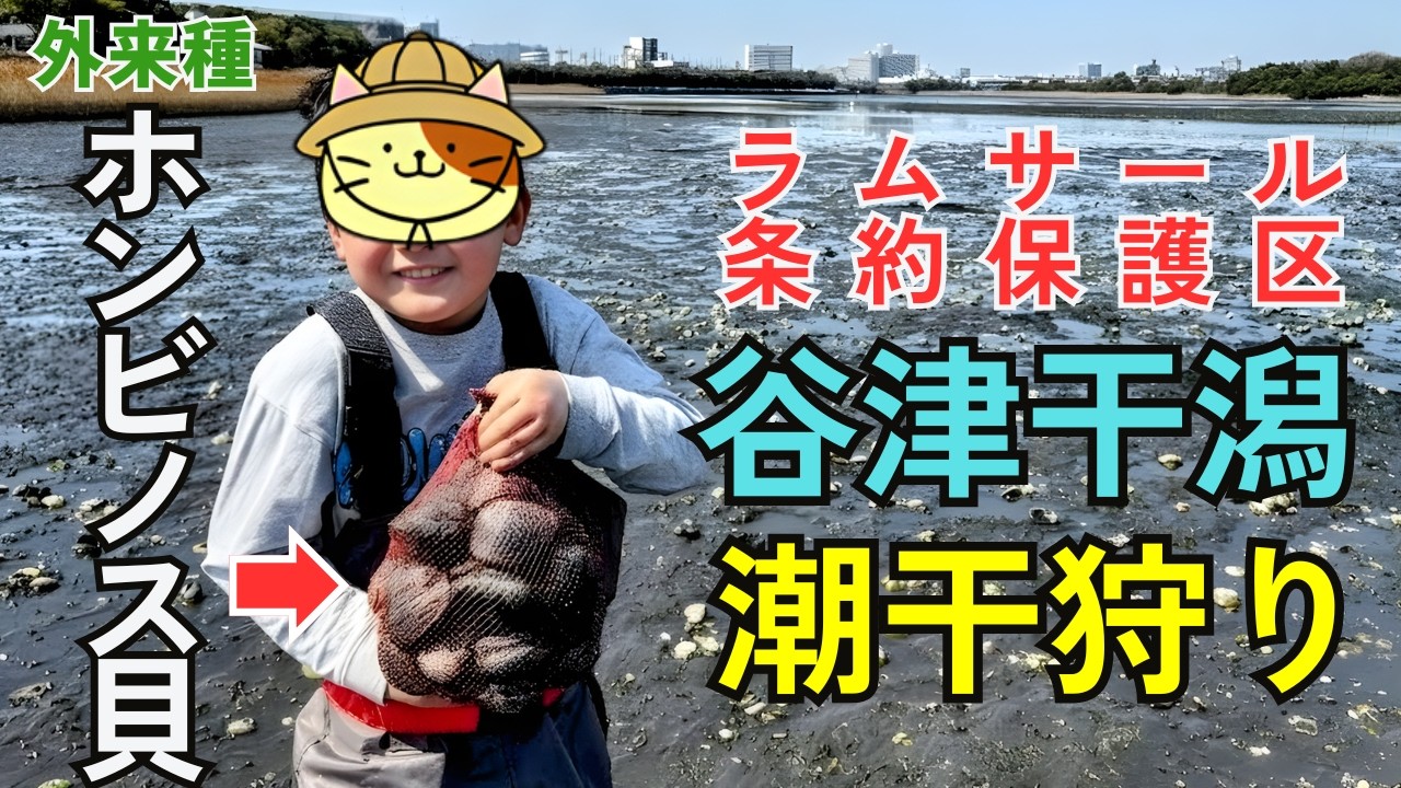 外来種から干潟を守れ！習志野市【谷津干潟公園】ホンビノス貝潮干狩り｜ラムサール条約保護区で潮干狩りをしてみたら30分で驚愕の結果に・・！