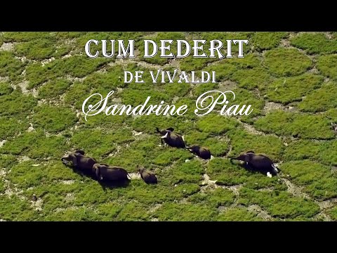 CUM DEDERIT—Vivaldi — Soprano Sandrine Piau