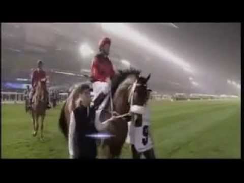 A Feature on Singapore's champion horse - Rocket Man