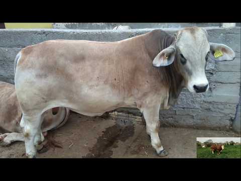 Changing the formula at the final stage of completion (Formulas and tips)