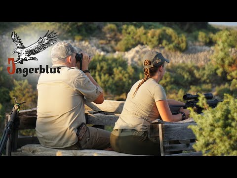 Inseljagd in der Adria, Kroatien | Strandurlaub & Jagdreise | Jagerblut Jagdreisen