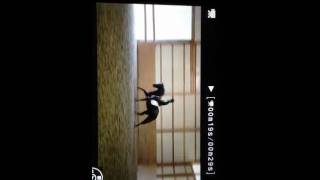 Download lagu Julia & Diva mp3