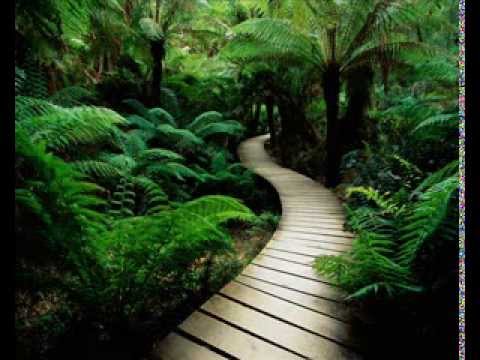 Korrekter Kollege feat. Patti San - Ayahuasca 170 bpm