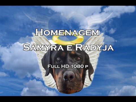 Homenagem Samyra e Radyja (1080p HD)
