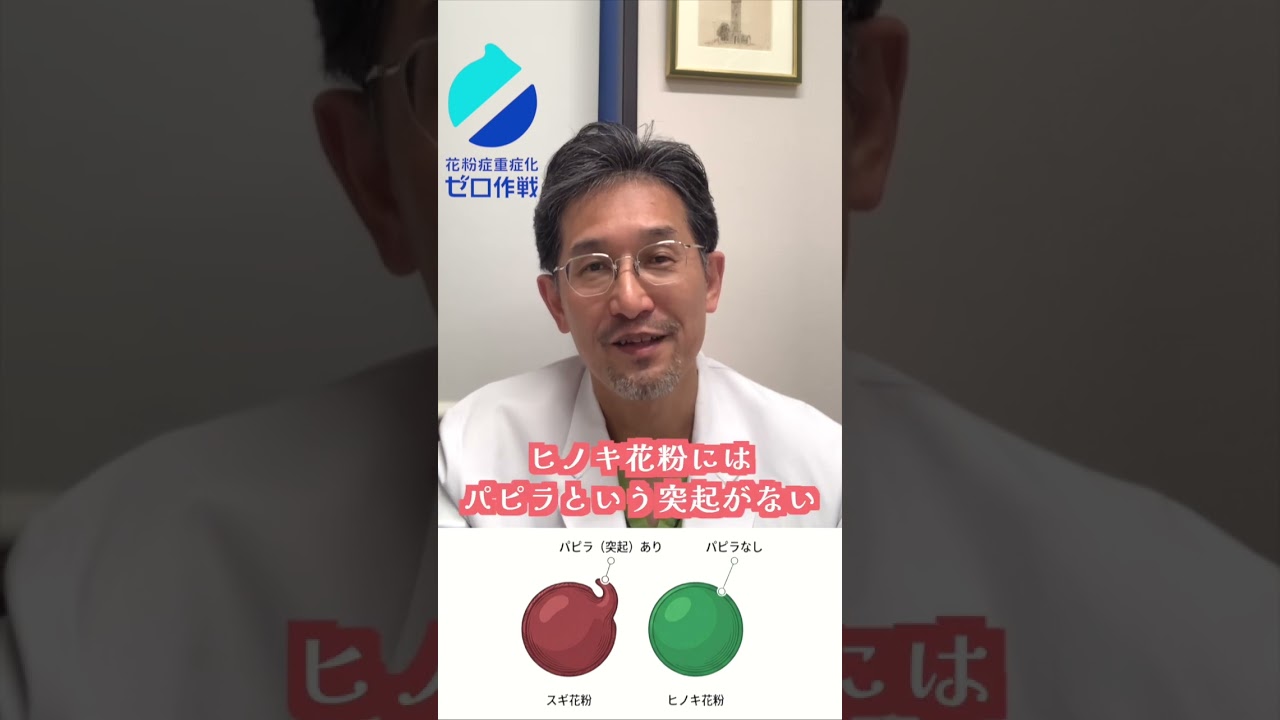 スギの後に、ヒノキが来る💦 #花粉症 #ヒノキ花粉症