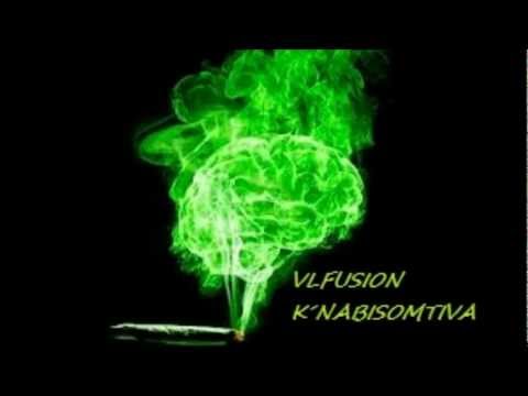 VLFUSION NIPE DE LADRÃO