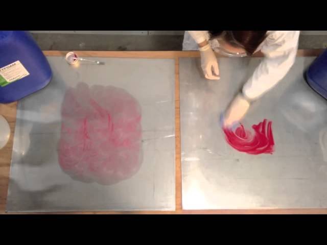 imagen-video-thefoodtech