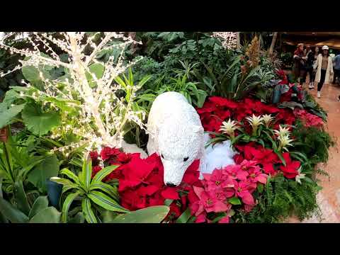 The Mirage Hotel & Casino atrium rain forest, inside the front entrance, Las Vegas