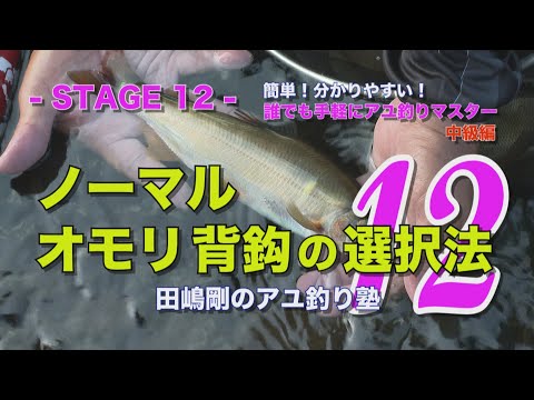 田嶋剛のアユ釣り塾12 ~ノーマル・オモリ・背鈎の選択法~
