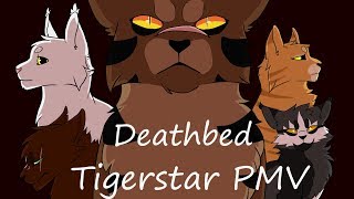 Tigerstar | Deathbed PMV