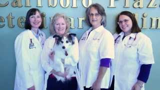 preview picture of video 'Carrboro Plaza Veterinary Clinic - Short | Carrboro, NC'