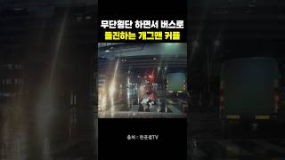 무단횡단 하면서 버스로 돌진하는 개그맨 커플 #블랙박스 #한문철 #개그맨