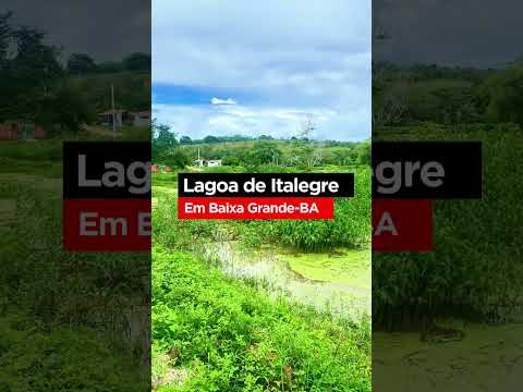 Depois das fortes chuvas dos últimos dias, veja a lagoa de Italegre, no município de Baixa Grande-BA