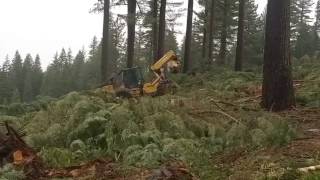 Hello sunshine just kidding