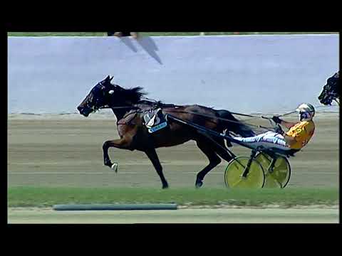 Napoli Trotto 08/05/2021 - 4ª corsa