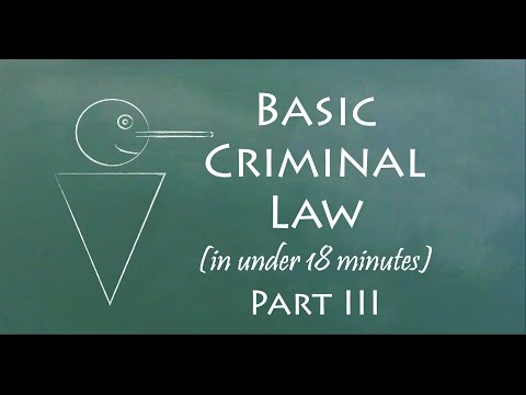Understand Criminal Law in 18 Minutes (Part III)