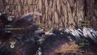 MHWI 貫通ヘビィソロ練習