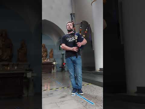 Dr MacInnes' Fancy & The Curlew