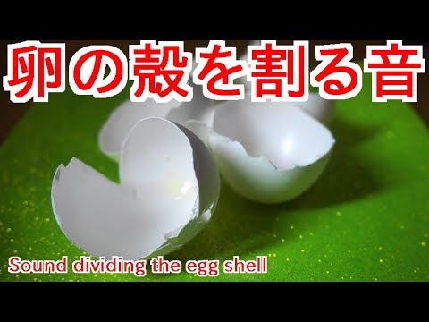 卵の殻を割る音 Sound dividing the egg shell