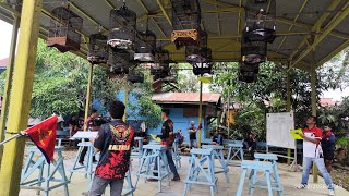 Download lagu Lomba Burung Berkicau ‼️ Latber Ramadhan Gantangan RI KALTARA mp3 Download lagu Lomba Burung Berkicau ‼️ Latber Ramadhan Gantangan RI KALTARA mp3