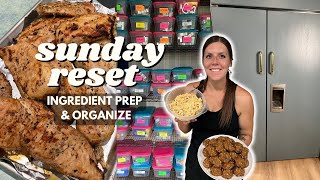 Sunday RESET | Ingredient/Meal Prep, Organize | Staying on Track | Pumpkin Cookies, Chicken Salad