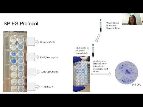 <p class="ql-align-center"><strong style="background-color: transparent; color: rgb(66, 133, 244);">Utilizing the ELISpot Assay to Assess the Effect of Interleukin-7 Treatment in Septic and Critically-Ill patients</strong></p><p><br></p>