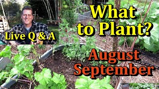 What to Plant in Your August & September Vegetable Gardens (Warm & Cool Crops and Live Q & A)