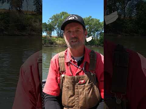 Spring Striper Run: Timing the Bite with Minnows on the Sacramento River video