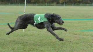 LGRA/NOTRA Nationals 2006 - Shot on Site Photography