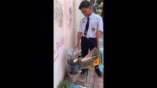 Berkebun di samping rumah 