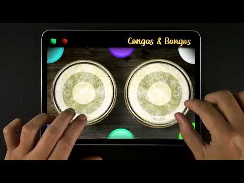 Congas & Bongos: percussions Video