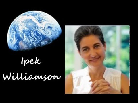 , title : 'One World in a New World with Ipek Williamson - Author, Insight Coach, Meditation Teacher'