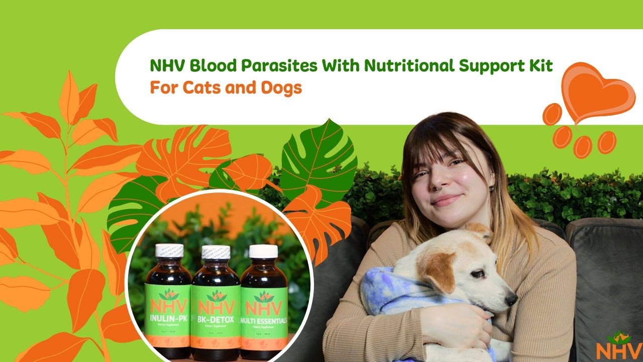 NHV Blood Parasites Nutritonal Support Kit For Cats and Dogs