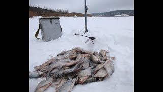 Отчет о рыбалке на белгородском водохранилище
