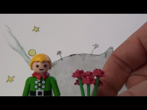 Der Kleine Prinz to go (Saint-Exupéry in 7 Minuten)