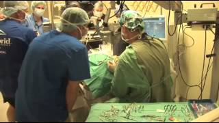 Dr. Doug Esson Performs Eye Surgery on Harbor Seal With Cataracts Rescued by SeaWorld