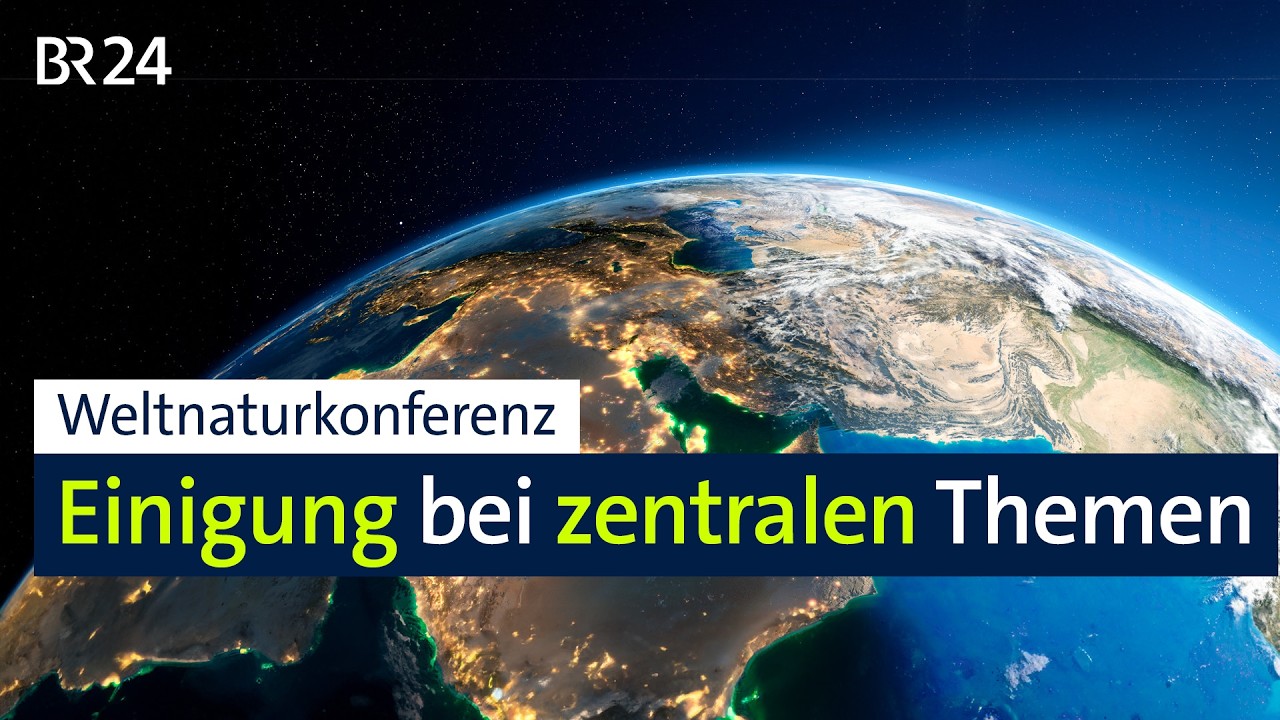 Details zu den Dokumenten liegen noch nicht vor | BR24