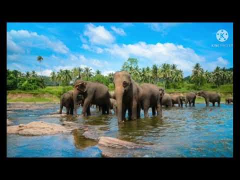 Beautiful Places in Sri Lanka 🇱🇰