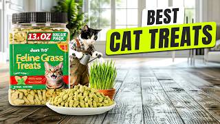 3 BEST Cat Treats