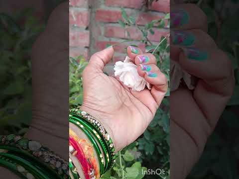 Pahenke niklujab mae saree#ashitutorialav